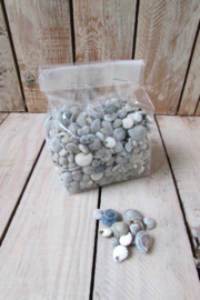 Schelpjes klein 105 gram (nr 85)