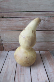 Fleskalebas gedroogd  22x11 cm (nr41)