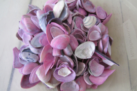 Schelpen roze 130 gram (nr 16)