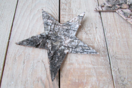 Berkenschors ster 10 cm 5 stuks (kerst nr 66)