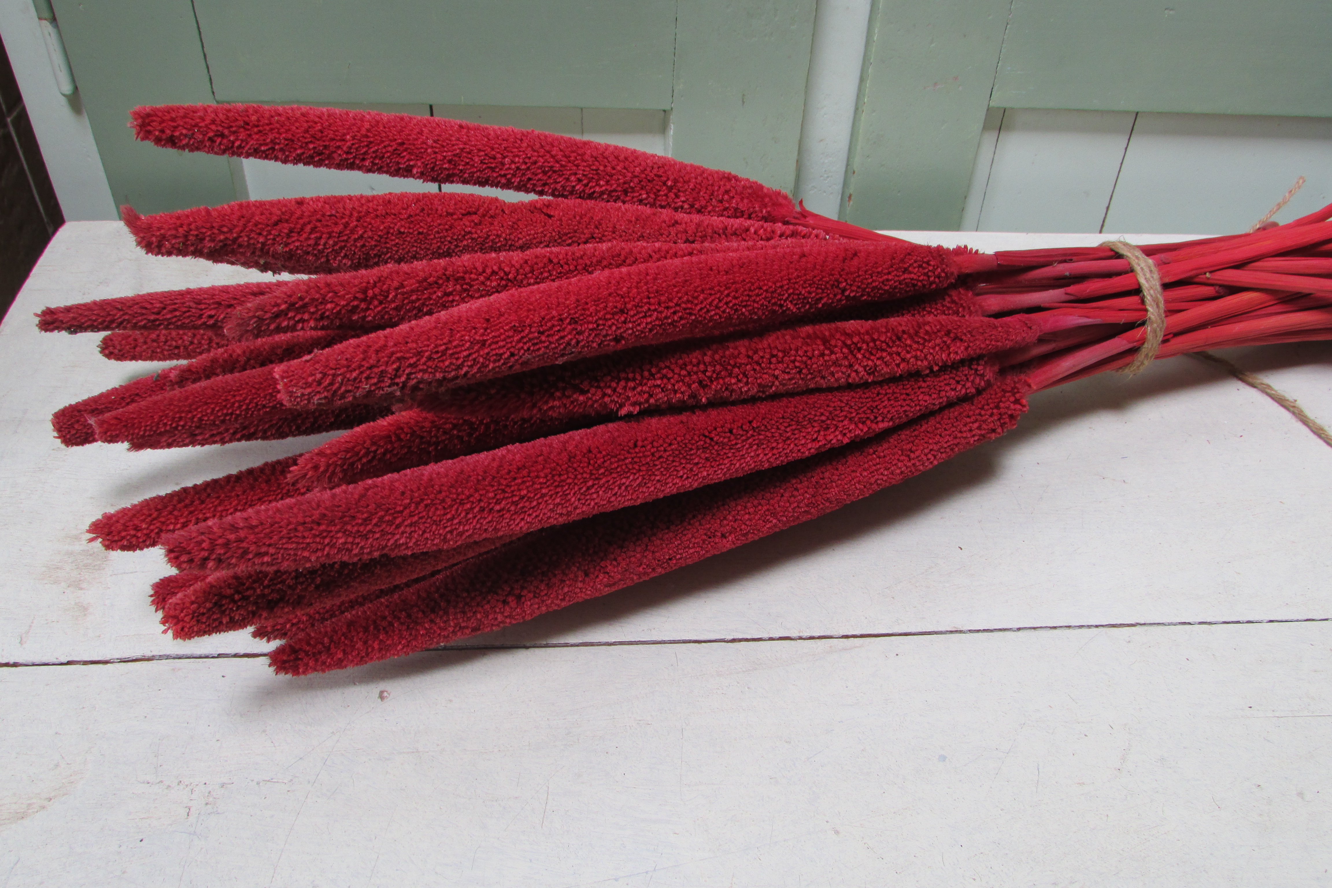 Bos deco rood