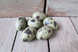 Eieren kunststof 3,5 cm 6 stuks (D300)