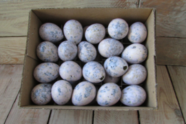 Kievits eitjes roze/lila 60 stuks