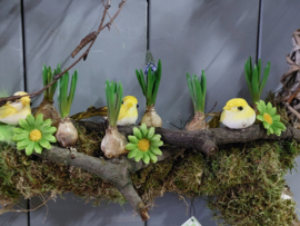 Vlindertuintje (thuisworkshop pakket) (kan ook in een andere kleur)