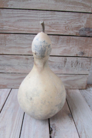 Gedroogde kalebas 22x13 cm (nr 21)