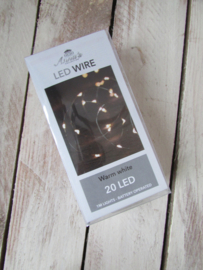 LED verlichting 20 lamps (zilverdraad)