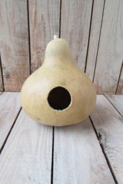 Gedroogde fleskalebas met gat 14x13cm   (nr 5)