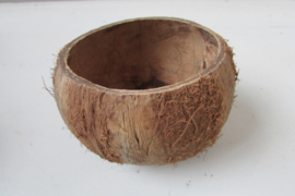 Kokosnoot 10 cm (W30)