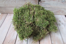 Gedroogd mos geschikt voor 1 DIY pakket