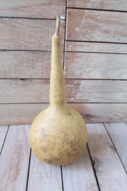 Gedroogde fleskalebas 27x13 cm (nr18)