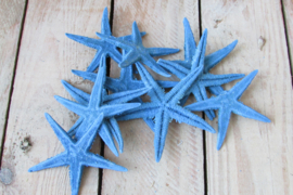 Zeester blauw 9 stuks 6-7 cm (E27)