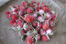 Droogbloemetje roze/rood 15 gram (D231)