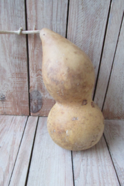 Fleskalebas gedroogd 21x9 cm (nr39)