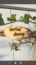 Nesteldrang  (DIY pakket)