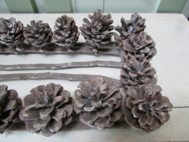 Frame met dennenappels 40x17 cm