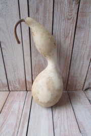 Gedroogde fleskalebas 25x9 cm cm (nr19)
