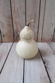 Gedroogde fleskalebas 12x 8 cm (nr17)