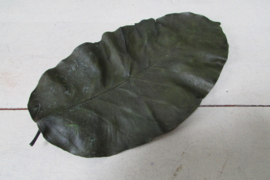Gedroogde bladeren groen 23 cm 10 stuks