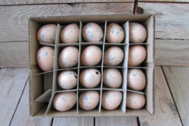 Kievits eitjes zalm 58 stuks(pasen nr 14)