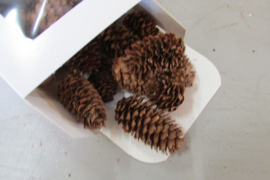 Dennenappel 3-4 cm 65 gram  (D302)