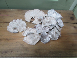 deco (paddenstoeltjes) wit 13 gram D18