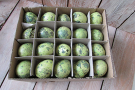 Kievits eitjes 60 stuks groen/geel (pasen nr 14)