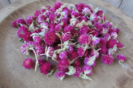 Droogbloemetje lila  25 gram (D230)