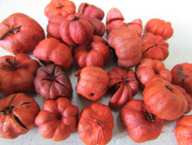 Putka pods oranje 35 gram (nr 54)