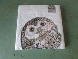 Servetten Owl, normaal formaat