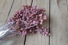 Deco takjes rose (nr 134)