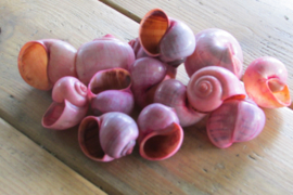 Kokkels roze 75 gram (nr 92)