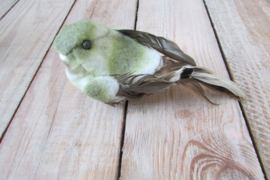 vogeltje groen