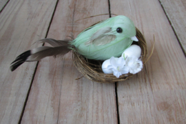 Vogeltje in nestje groen