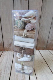 decoratie doosje schelpen e.d