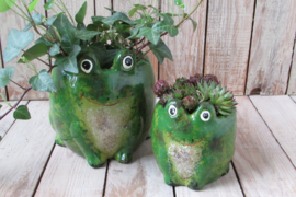 Bloempot kikker 9x8  (W39) (de kleine)