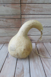 Gedroogde fleskalebas 23x13 cm (nr 52)