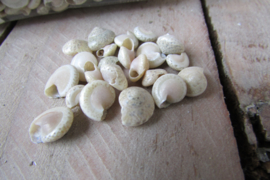 Schelpjes 205 gram (nr 84)