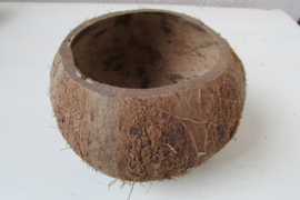 Kokosnoot 13 cm (W30)