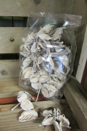 Cotton pods  wit, 35 gram (nr 49)