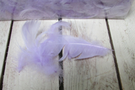 Doos veren lila nr 6