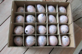 Kievits eitjes 60 stuks zacht roze (pasen nr 14)