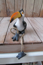 Toekan met bungelbeentjes
