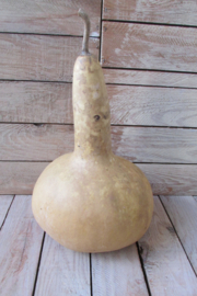 Gedroogde fleskalebas   26x18 cm (nr 16)