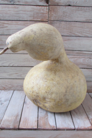 Fleskalebas gedroogd 40x26 cm (nr 2)