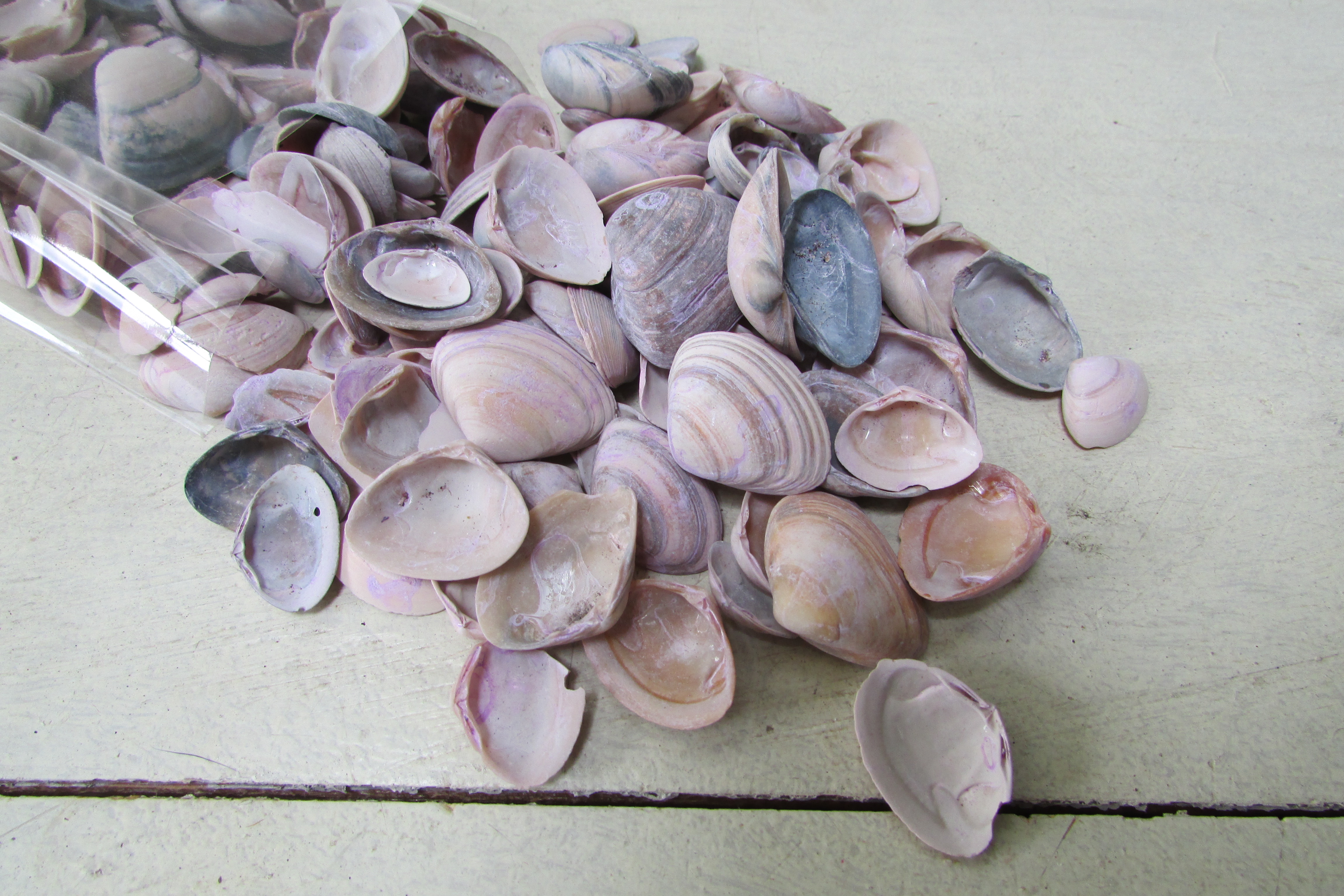 Schelpen blauw/roze/creme 130 gram (nr 76)