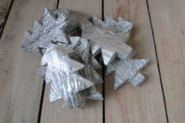 Kerstboompje zilver van kokos 9 stuks