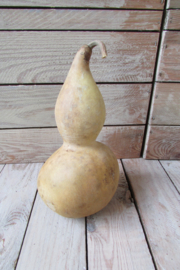 Fleskalebas gedroogd  20x10 cm (nr39)
