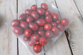Eitjes rood 2 cm (W21)