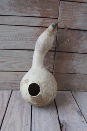 Gedroogde kalebas 23x10 cm (nr 11) (vogelhuisje)