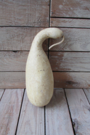 Gedroogde fleskalebas  21x8 cm cm (nr19)